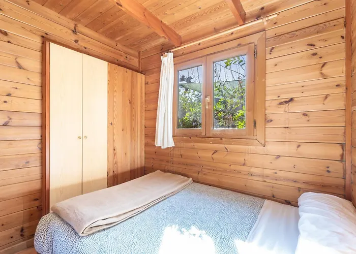 Falaguera 1 * Bárig